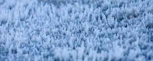Preview wallpaper grass, frost, macro, blur