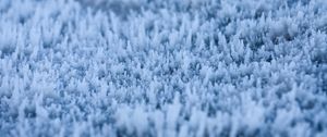 Preview wallpaper grass, frost, macro, blur