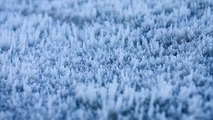 Preview wallpaper grass, frost, macro, blur