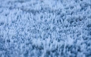 Preview wallpaper grass, frost, macro, blur