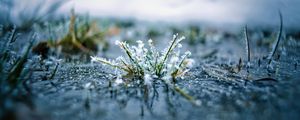 Preview wallpaper grass, frost, macro, blur, reflection