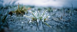 Preview wallpaper grass, frost, macro, blur, reflection