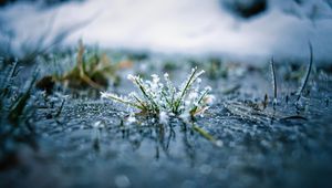 Preview wallpaper grass, frost, macro, blur, reflection