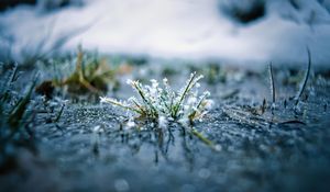 Preview wallpaper grass, frost, macro, blur, reflection