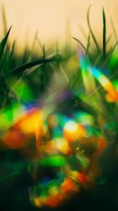 Preview wallpaper grass, glare, bokeh, colorful, macro