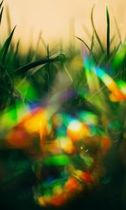 Preview wallpaper grass, glare, bokeh, colorful, macro