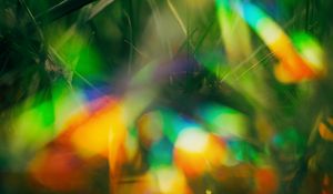 Preview wallpaper grass, glare, bokeh, colorful, macro