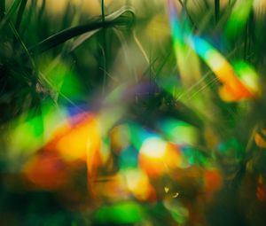 Preview wallpaper grass, glare, bokeh, colorful, macro