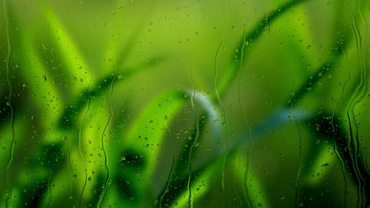 Wallpaper grass, glass, rain, drops