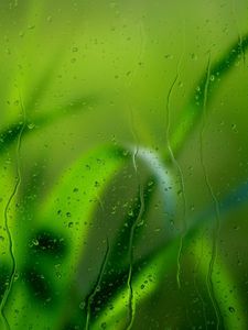 Preview wallpaper grass, glass, rain, drops