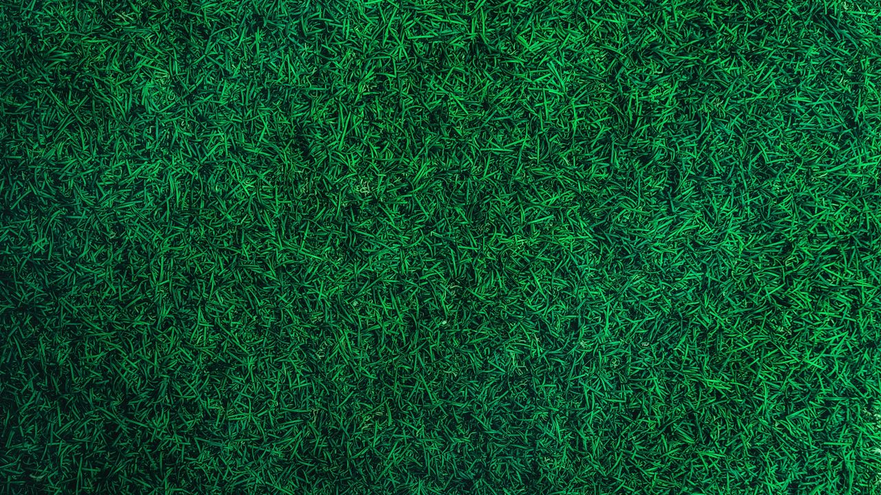 Wallpaper grass, green, lawn, aerial view