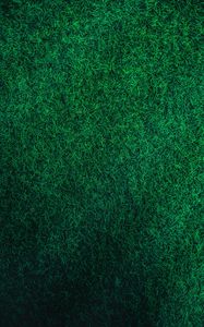 Preview wallpaper grass, green, lawn, aerial view