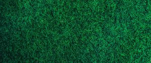 Preview wallpaper grass, green, lawn, aerial view