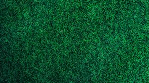 Preview wallpaper grass, green, lawn, aerial view