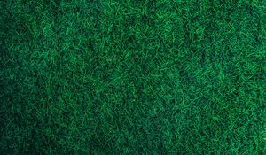 Preview wallpaper grass, green, lawn, aerial view