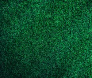 Preview wallpaper grass, green, lawn, aerial view