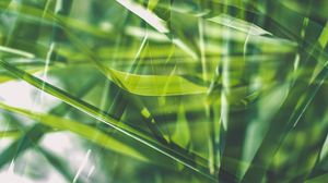 Preview wallpaper grass, green, macro, blur