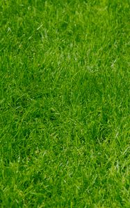 Preview wallpaper grass, green, summer