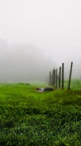 Preview wallpaper grass, green, summer, fog, fence, morning