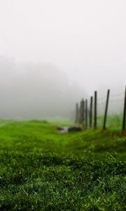 Preview wallpaper grass, green, summer, fog, fence, morning