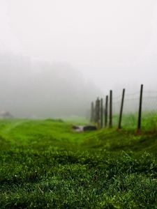 Preview wallpaper grass, green, summer, fog, fence, morning