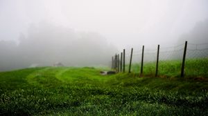 Preview wallpaper grass, green, summer, fog, fence, morning