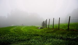 Preview wallpaper grass, green, summer, fog, fence, morning