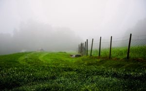 Preview wallpaper grass, green, summer, fog, fence, morning