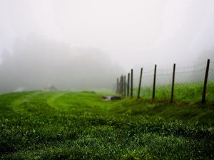 Preview wallpaper grass, green, summer, fog, fence, morning