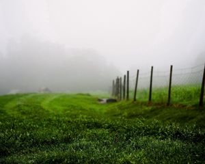 Preview wallpaper grass, green, summer, fog, fence, morning