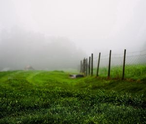 Preview wallpaper grass, green, summer, fog, fence, morning