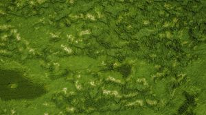 Preview wallpaper grass, greens, aerial view, ground, surface