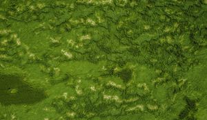 Preview wallpaper grass, greens, aerial view, ground, surface