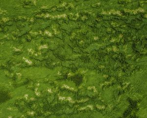 Preview wallpaper grass, greens, aerial view, ground, surface