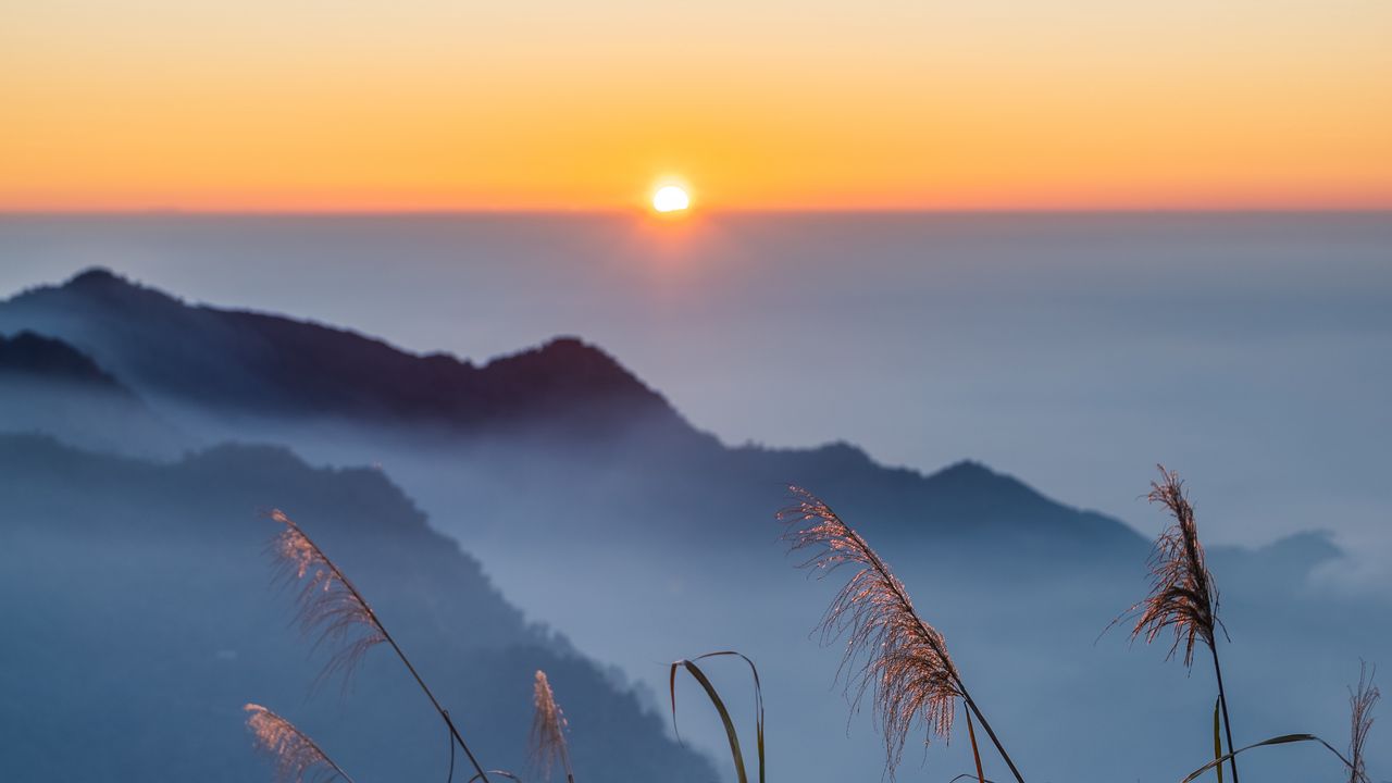 Wallpaper grass, hills, fog, horizon, sunrise