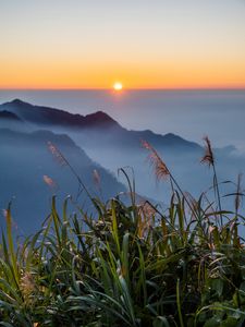 Preview wallpaper grass, hills, fog, horizon, sunrise
