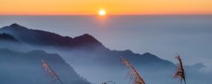 Preview wallpaper grass, hills, fog, horizon, sunrise