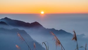 Preview wallpaper grass, hills, fog, horizon, sunrise