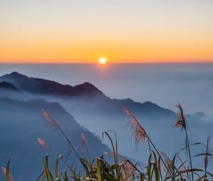 Preview wallpaper grass, hills, fog, horizon, sunrise