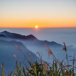 Preview wallpaper grass, hills, fog, horizon, sunrise