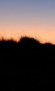 Preview wallpaper grass, hills, silhouettes, evening, dark
