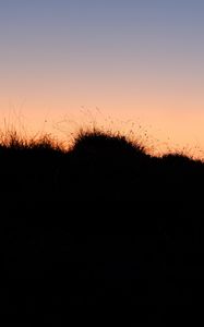 Preview wallpaper grass, hills, silhouettes, evening, dark