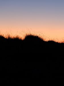 Preview wallpaper grass, hills, silhouettes, evening, dark