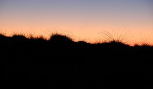 Preview wallpaper grass, hills, silhouettes, evening, dark