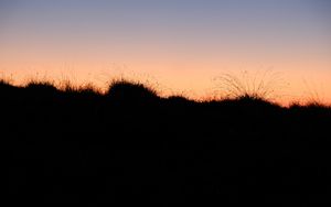 Preview wallpaper grass, hills, silhouettes, evening, dark