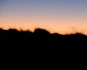 Preview wallpaper grass, hills, silhouettes, evening, dark