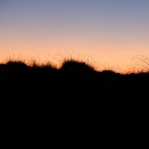 Preview wallpaper grass, hills, silhouettes, evening, dark