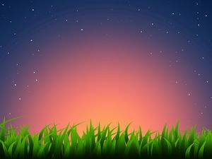 Preview wallpaper grass, horizon, light, stars