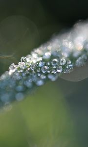 Preview wallpaper grass, ice, macro, frost, blur