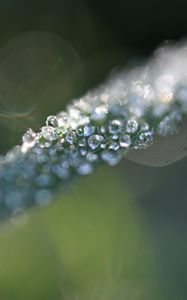 Preview wallpaper grass, ice, macro, frost, blur